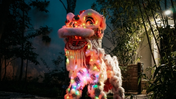 Nighttime Illuminated Lion Dance Performance 