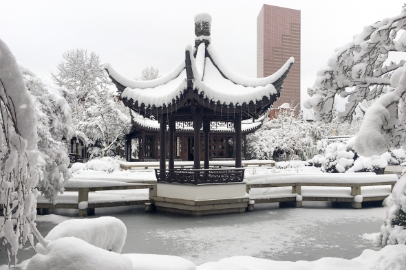 Snow within Lan Su