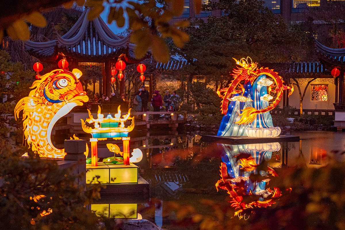 7 Reasons to Bring Your Kids to Lantern Viewing Evenings