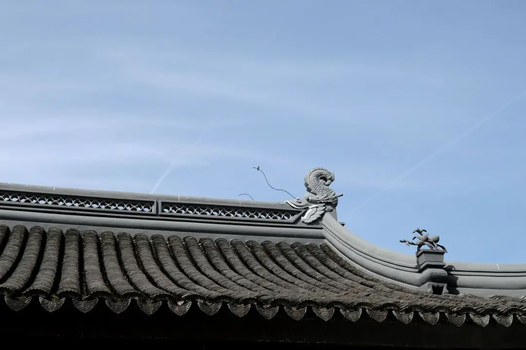 Culture Spotlight: From Carp to Dragon: A Garden Reflection on Aspiration and Transformation