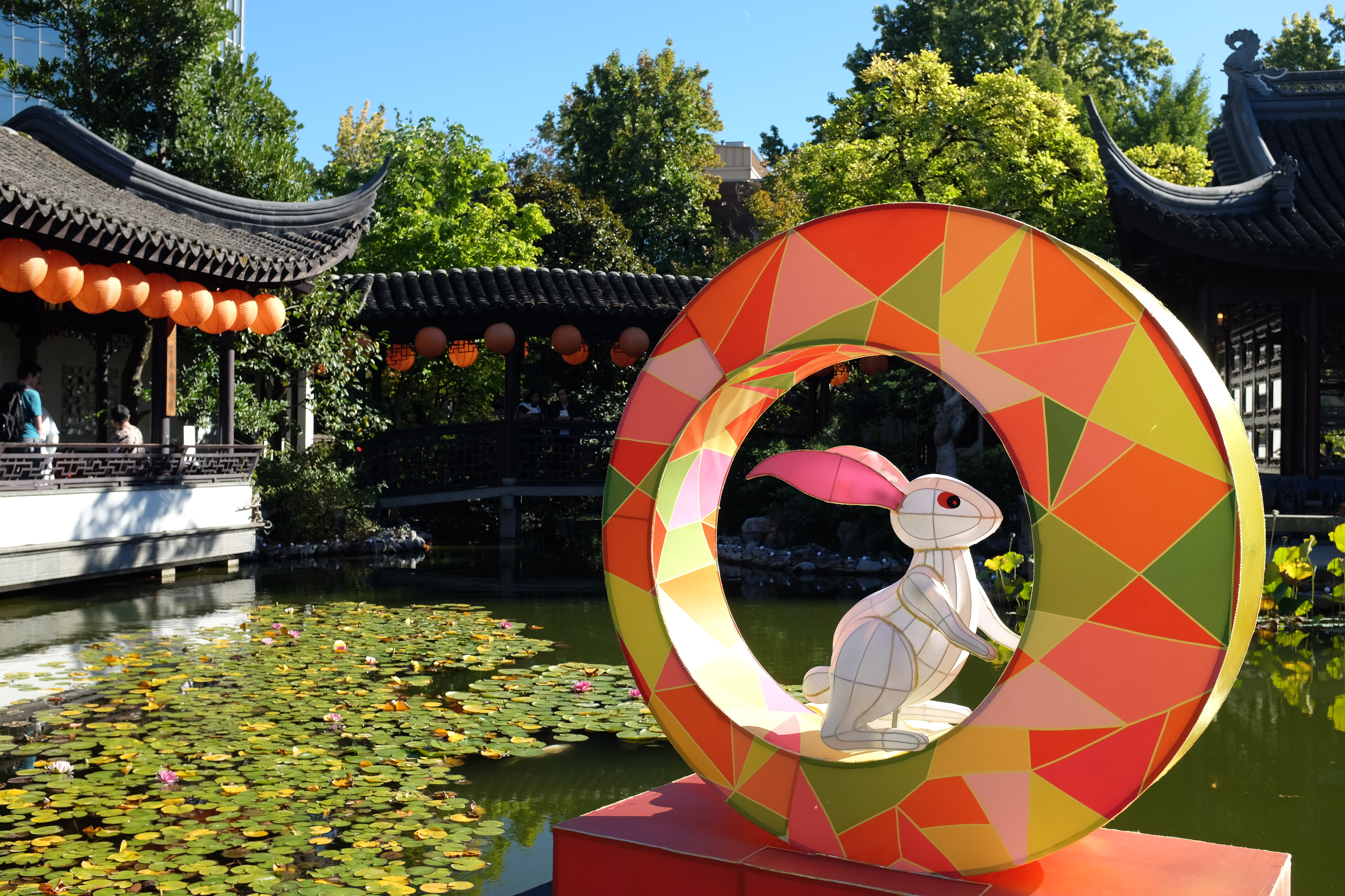 Culture Spotlight: The Moon Rabbit Who Hopped Across Cultures