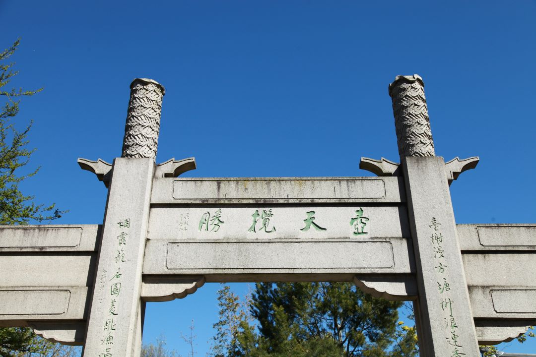 Culture Spotlight: Gourd Heaven