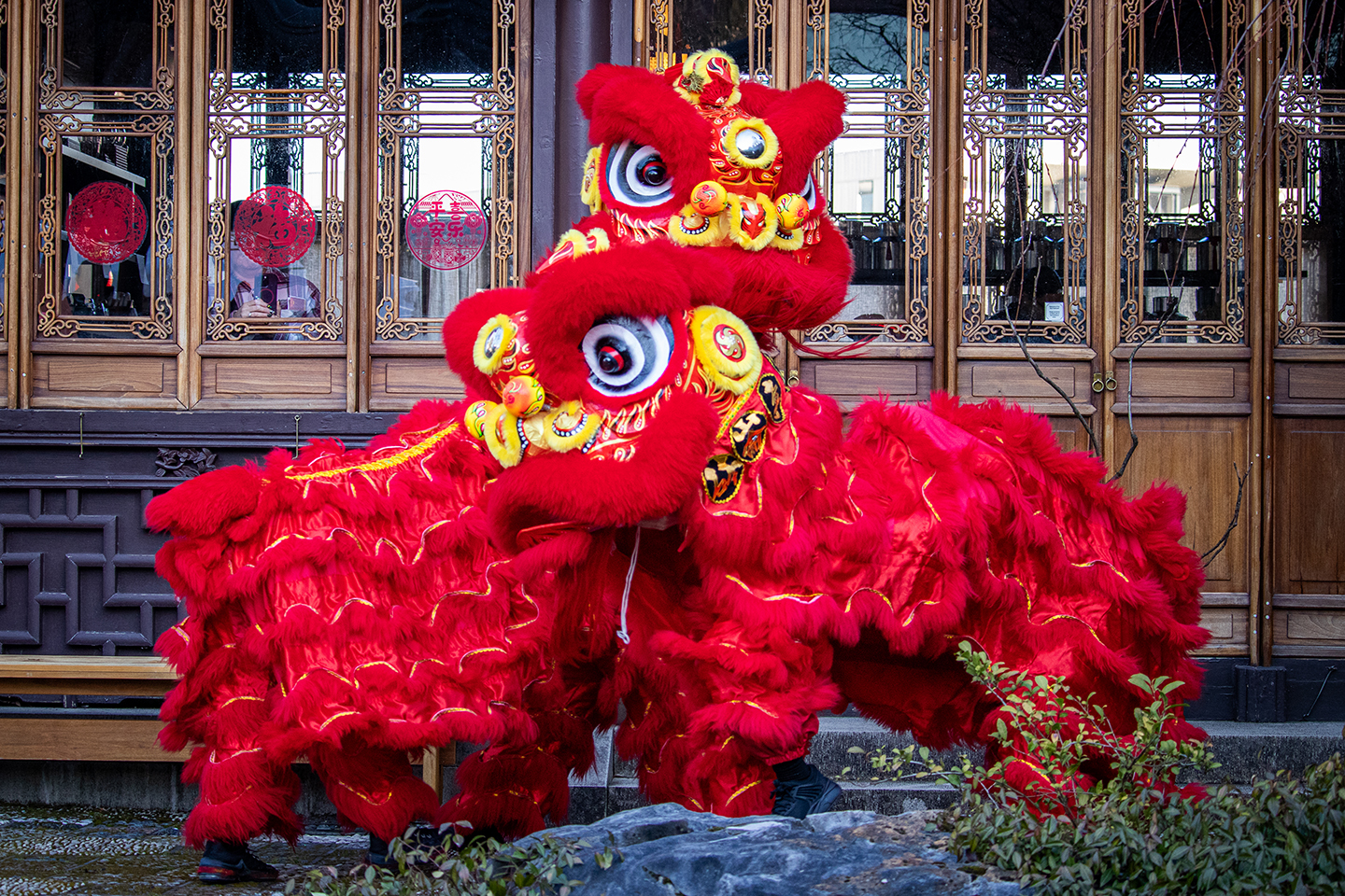 Culture Spotlight: The Story Behind Chinese Lion Dance