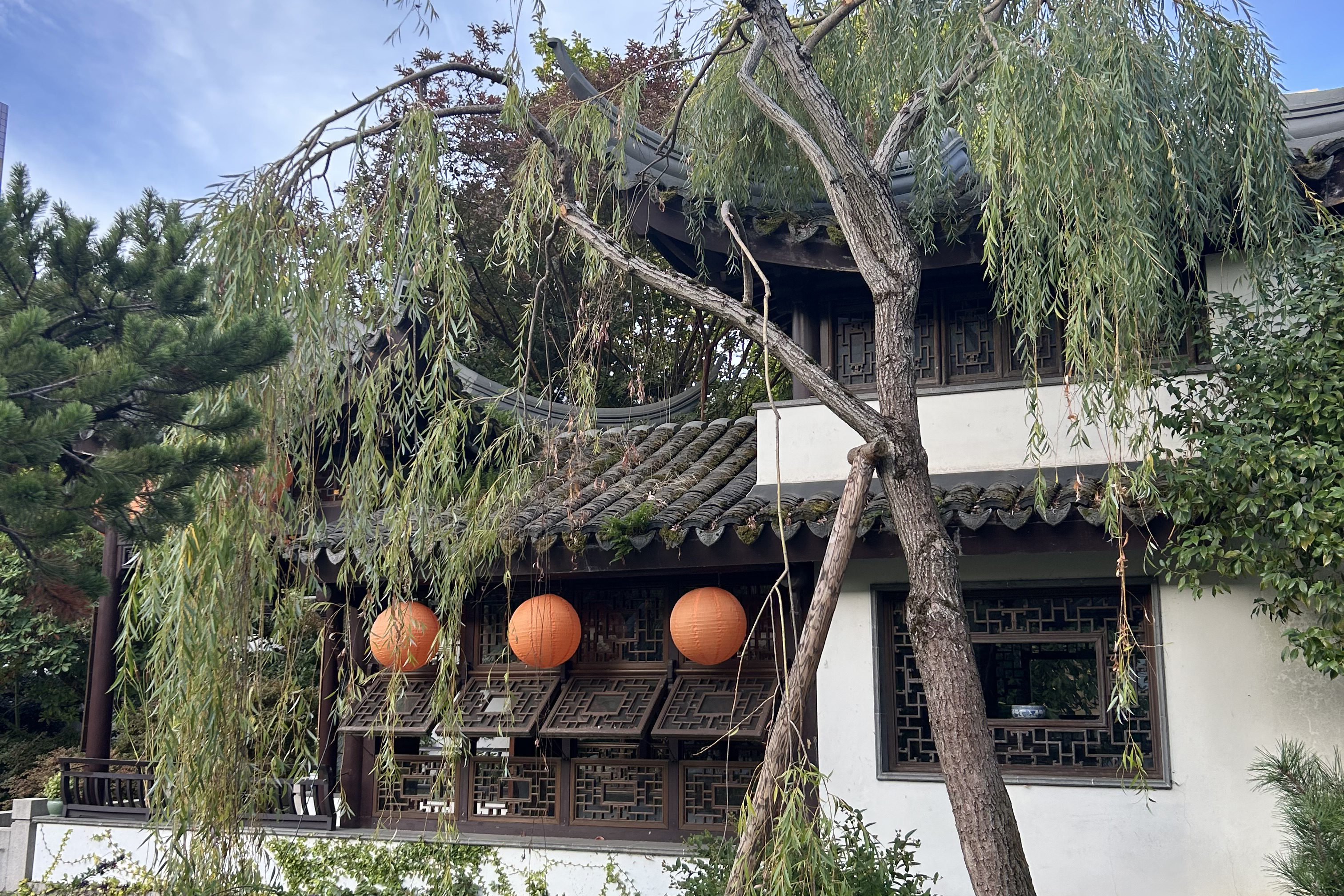 a willow tree grows next to the Painted Boat in Misty Rain at Lan Su Chinese Garden