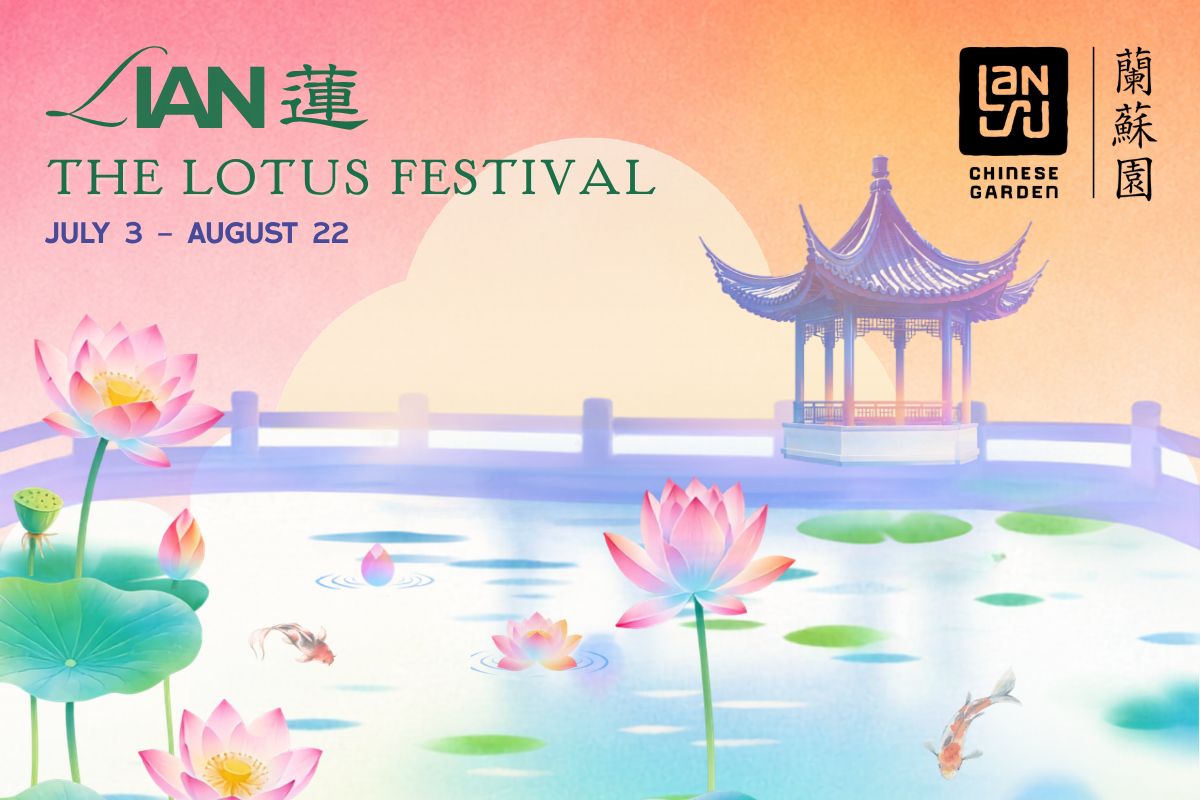 Lian (蓮): The Lotus Festival - Lan Su Chinese Garden
