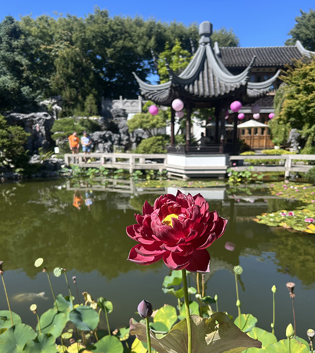 Hort Tidbit: 处暑 Chùshǔ – “The End of Summer”